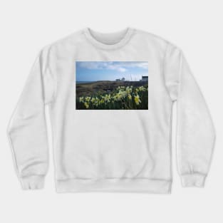 Seaton Sluice Harbour Daffodils Crewneck Sweatshirt